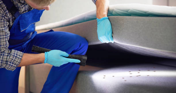 Best Flea Control Services  in Arial, SC