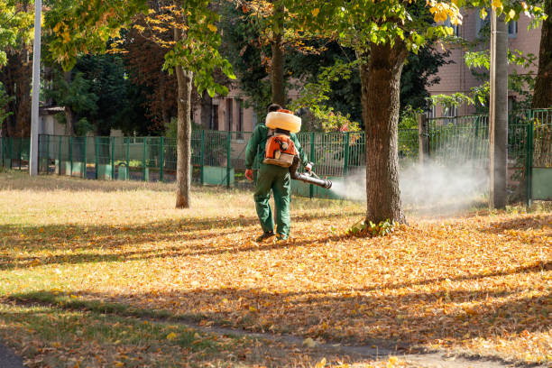 Best Mosquito Control Services  in Arial, SC
