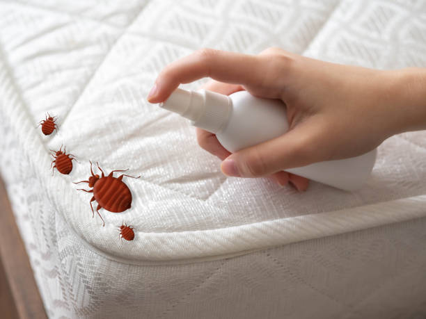Best Affordable Pest Control Services  in Arial, SC