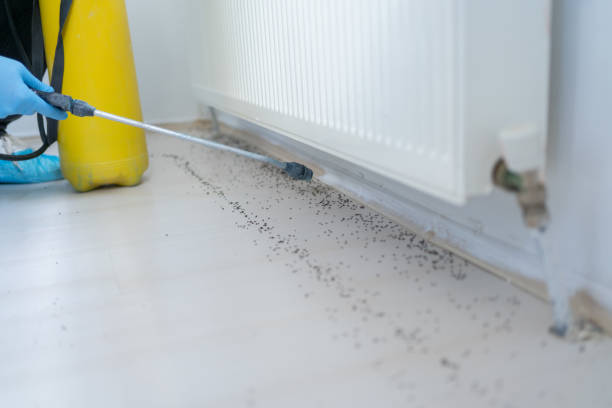 Reliable Arial, SC Pest Control Solutions
